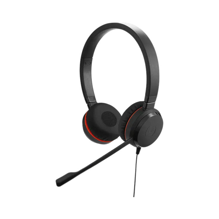 Jabra Evolve 20 Duo Headset