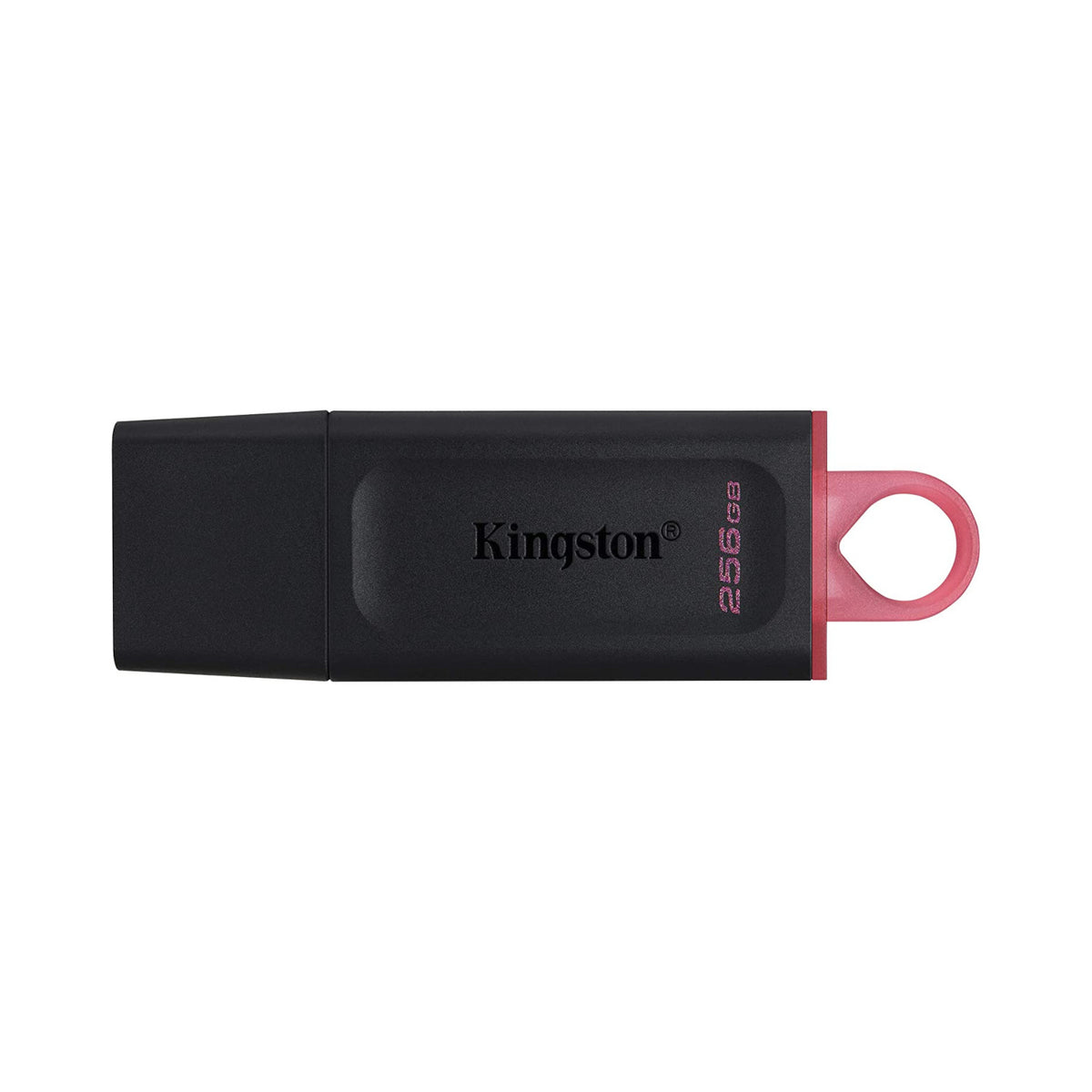 Kingston DTX USB3.2 256GB
