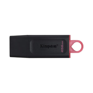 Kingston DTX USB3.2 256GB
