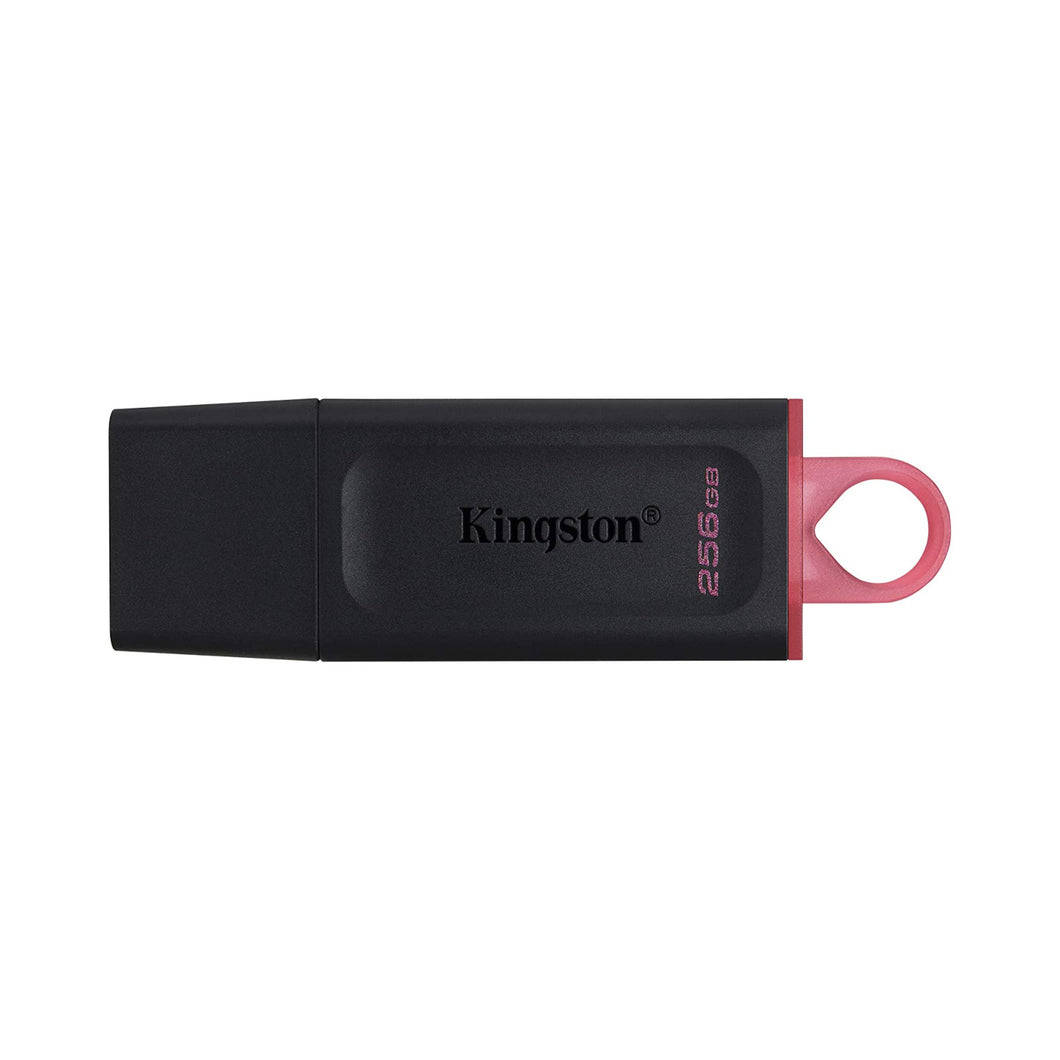 Kingston DTX USB3.2 256GB