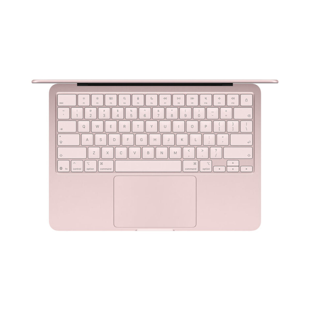 Apple MacBook Neo 13" A18P 256GB Blush Laptop