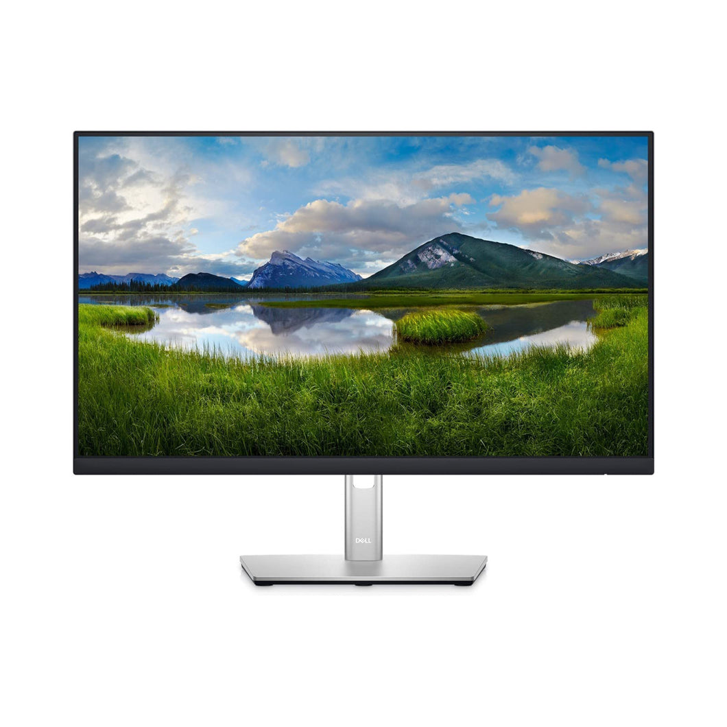 DELL P2422HE 23.8